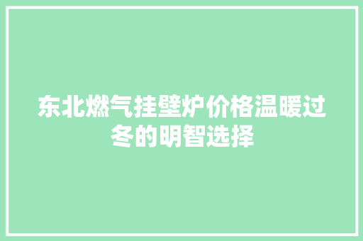 东北燃气挂壁炉价格温暖过冬的明智选择 洗衣机