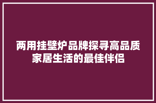 两用挂壁炉品牌探寻高品质家居生活的最佳伴侣 灯具安装 两用挂壁炉品牌探寻高品质家居生活的最佳伴侣 灯具安装