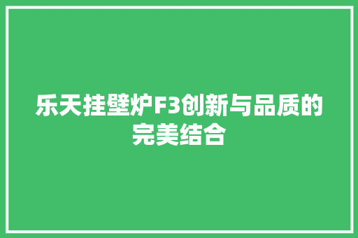乐天挂壁炉F3创新与品质的完美结合 清洁保养