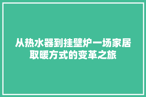 从热水器到挂壁炉一场家居取暖方式的变革之旅 洗衣机
