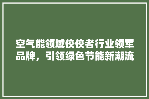 空气能领域佼佼者行业领军品牌，引领绿色节能新潮流 贴膜