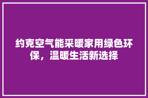 约克空气能采暖家用绿色环保，温暖生活新选择 旧房改造