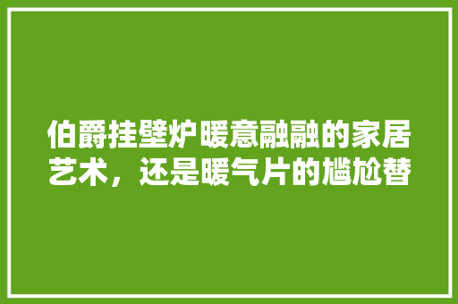 伯爵挂壁炉暖意融融的家居艺术，还是暖气片的尴尬替代品 龙头管件