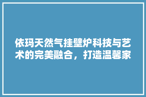 依玛天然气挂壁炉科技与艺术的完美融合，打造温馨家居生活 空调