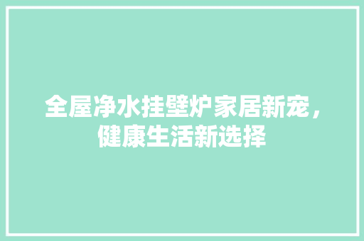 全屋净水挂壁炉家居新宠，健康生活新选择 装修设计