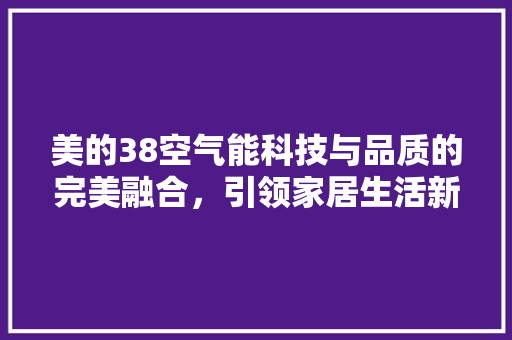 美的38空气能科技与品质的完美融合，引领家居生活新风尚 冰箱
