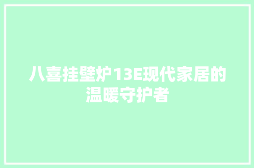 八喜挂壁炉13E现代家居的温暖守护者 龙头管件