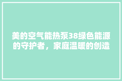 美的空气能热泵38绿色能源的守护者，家庭温暖的创造者 灯具安装