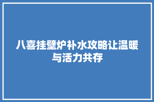 八喜挂壁炉补水攻略让温暖与活力共存 空调