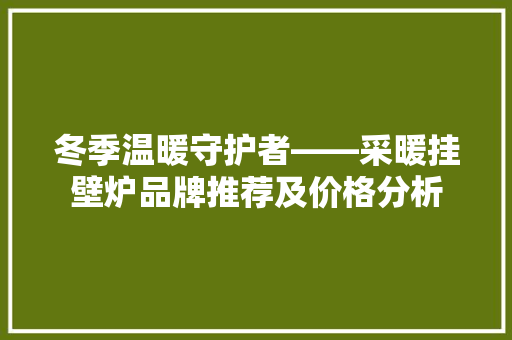 冬季温暖守护者——采暖挂壁炉品牌推荐及价格分析 空调