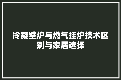 冷凝壁炉与燃气挂炉技术区别与家居选择 冰箱