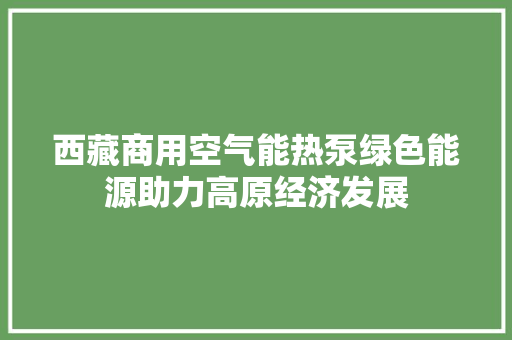 西藏商用空气能热泵绿色能源助力高原经济发展 洗衣机