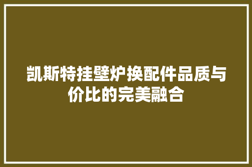 凯斯特挂壁炉换配件品质与价比的完美融合 水电维修