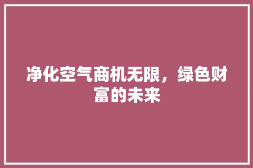 净化空气商机无限，绿色财富的未来 灯具安装