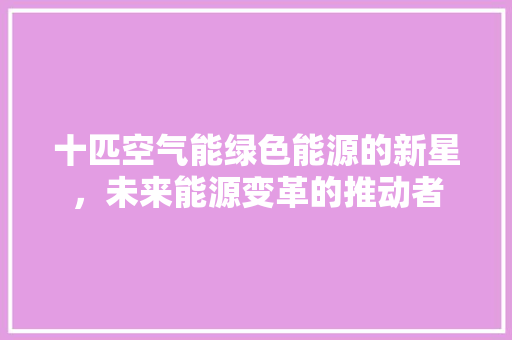 十匹空气能绿色能源的新星，未来能源变革的推动者 清洁保养
