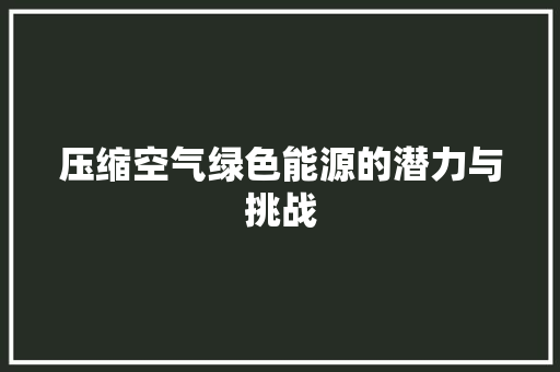 压缩空气绿色能源的潜力与挑战 清洁保养