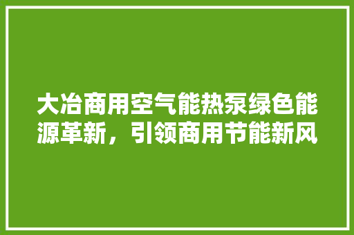 大冶商用空气能热泵绿色能源革新，引领商用节能新风尚 局部翻新