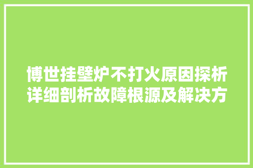 博世挂壁炉不打火原因探析详细剖析故障根源及解决方法 水电维修