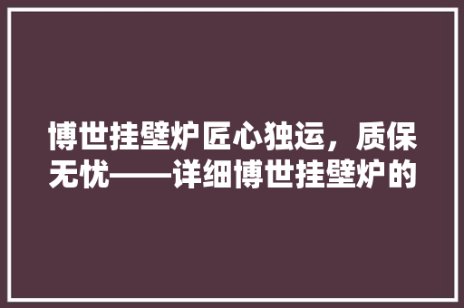 博世挂壁炉匠心独运，质保无忧——详细博世挂壁炉的卓越品质与终身保障 清洁保养