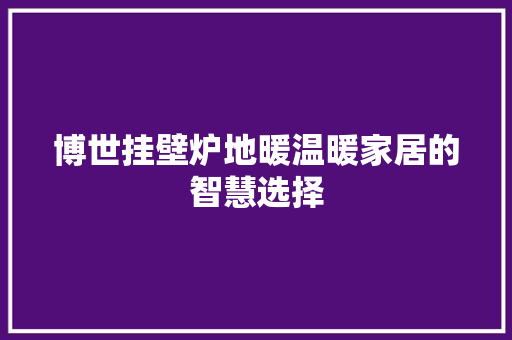 博世挂壁炉地暖温暖家居的智慧选择 水电维修