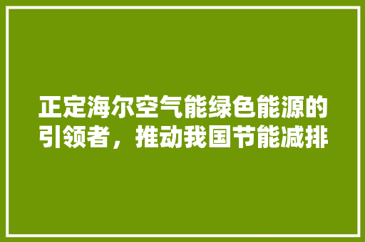 正定海尔空气能绿色能源的引领者，推动我国节能减排事业的发展 龙头管件