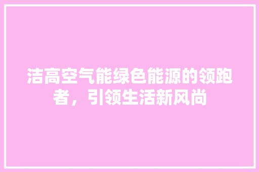 洁高空气能绿色能源的领跑者，引领生活新风尚 空调