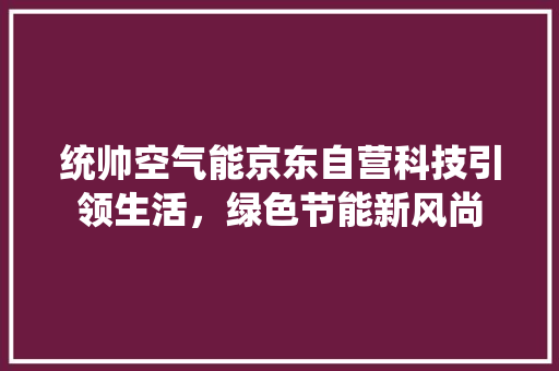 统帅空气能京东自营科技引领生活，绿色节能新风尚 装修设计