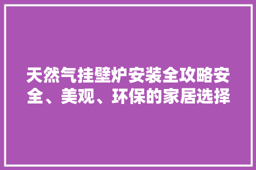 天然气挂壁炉安装全攻略安全、美观、环保的家居选择 清洁保养