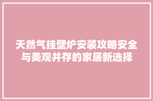 天然气挂壁炉安装攻略安全与美观并存的家居新选择 家具修理