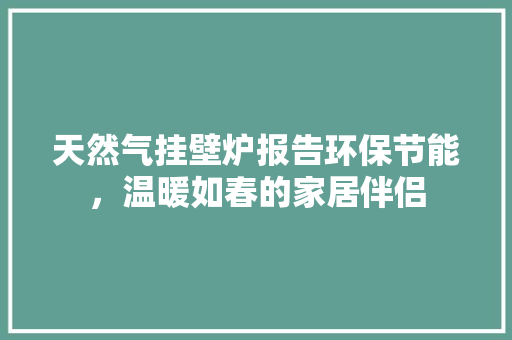 天然气挂壁炉报告环保节能,温暖如春的家居伴侣 装修设计 天然气挂壁炉报告环保节能,温暖如春的家居伴侣 装修设计