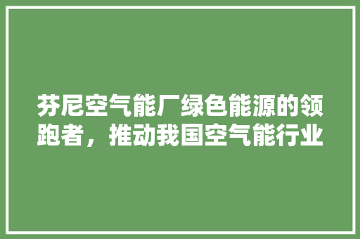 芬尼空气能厂绿色能源的领跑者，推动我国空气能行业蓬勃发展 空调