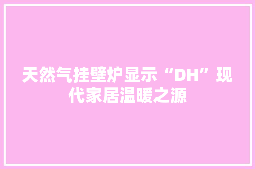 天然气挂壁炉显示“DH”现代家居温暖之源 热水器