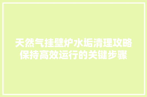 天然气挂壁炉水垢清理攻略保持高效运行的关键步骤 家电维护
