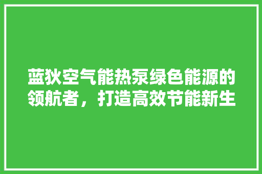 蓝狄空气能热泵绿色能源的领航者，打造高效节能新生活 翻新改色
