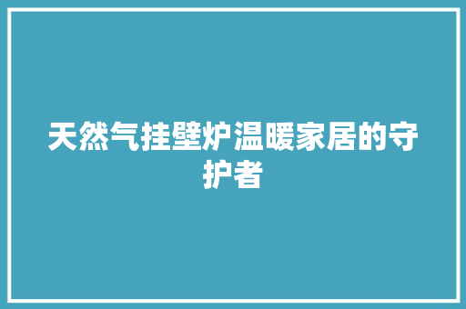 天然气挂壁炉温暖家居的守护者 洗衣机