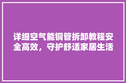 详细空气能铜管拆卸教程安全高效，守护舒适家居生活 龙头管件