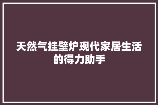天然气挂壁炉现代家居生活的得力助手 家具修理