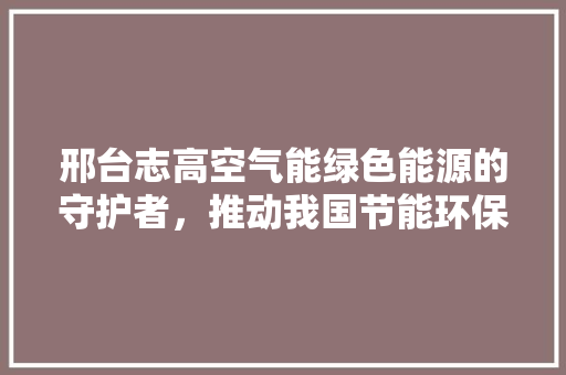 邢台志高空气能绿色能源的守护者，推动我国节能环保事业的发展 灯具安装