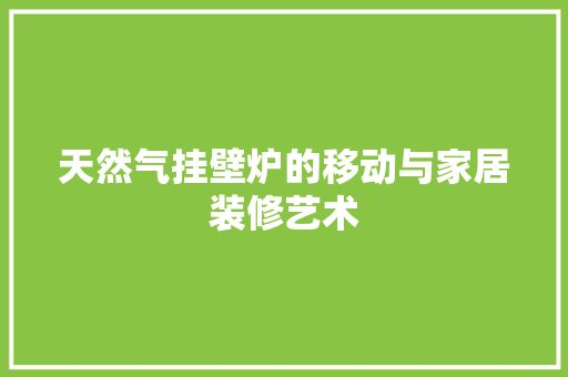 天然气挂壁炉的移动与家居装修艺术 水电维修