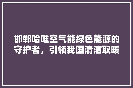 邯郸哈唯空气能绿色能源的守护者，引领我国清洁取暖新潮流 空调