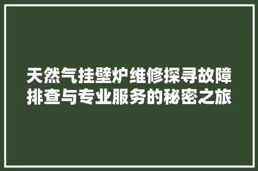 天然气挂壁炉维修探寻故障排查与专业服务的秘密之旅 装修设计