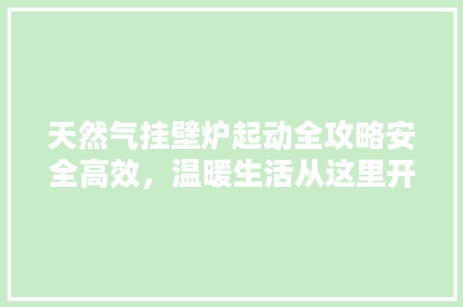 天然气挂壁炉起动全攻略安全高效，温暖生活从这里开始 清洁保养