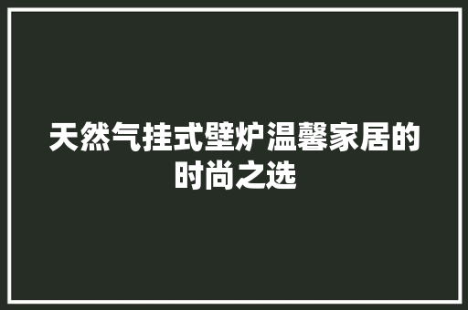 天然气挂式壁炉温馨家居的时尚之选 洁具维修