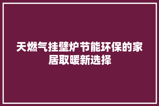 天燃气挂壁炉节能环保的家居取暖新选择 家电维护