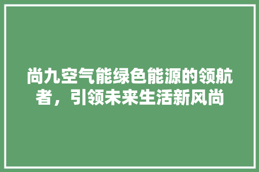 尚九空气能绿色能源的领航者，引领未来生活新风尚 灯具安装