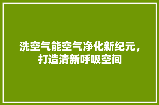 洗空气能空气净化新纪元，打造清新呼吸空间 贴膜
