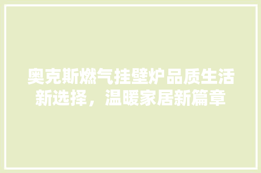 奥克斯燃气挂壁炉品质生活新选择，温暖家居新篇章 热水器