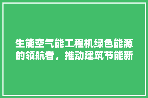 生能空气能工程机绿色能源的领航者，推动建筑节能新篇章 热水器