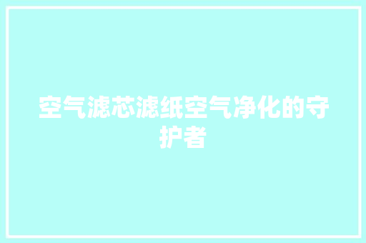 空气滤芯滤纸空气净化的守护者 洁具维修
