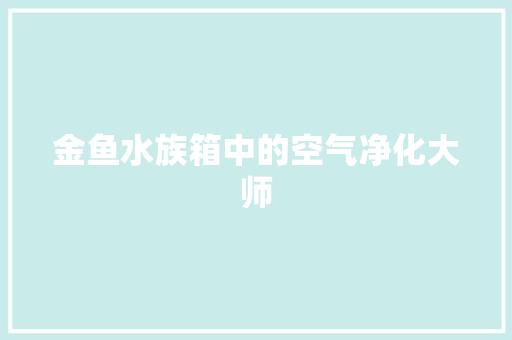 金鱼水族箱中的空气净化大师 灯具安装